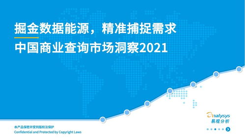 中國(guó)商業(yè)查詢(xún)市場(chǎng) 社會(huì)經(jīng)濟(jì)咨詢(xún)服務(wù)的機(jī)遇與前景