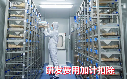 工業(yè)潤(rùn)滑油科技領(lǐng)域企業(yè)研發(fā)費(fèi)用加計(jì)扣除常見(jiàn)問(wèn)題解答
